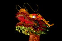 Image: Come Celebrate Chinese New Year with Us