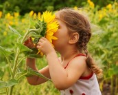 Image: Hay Fever & Allergies