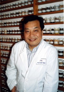 Professor Man Fong Mei.