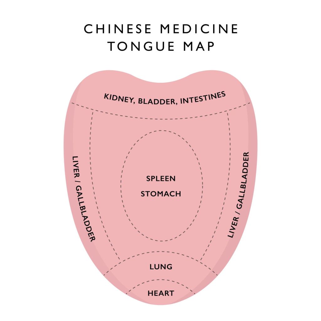 Chinese medicine tongue map