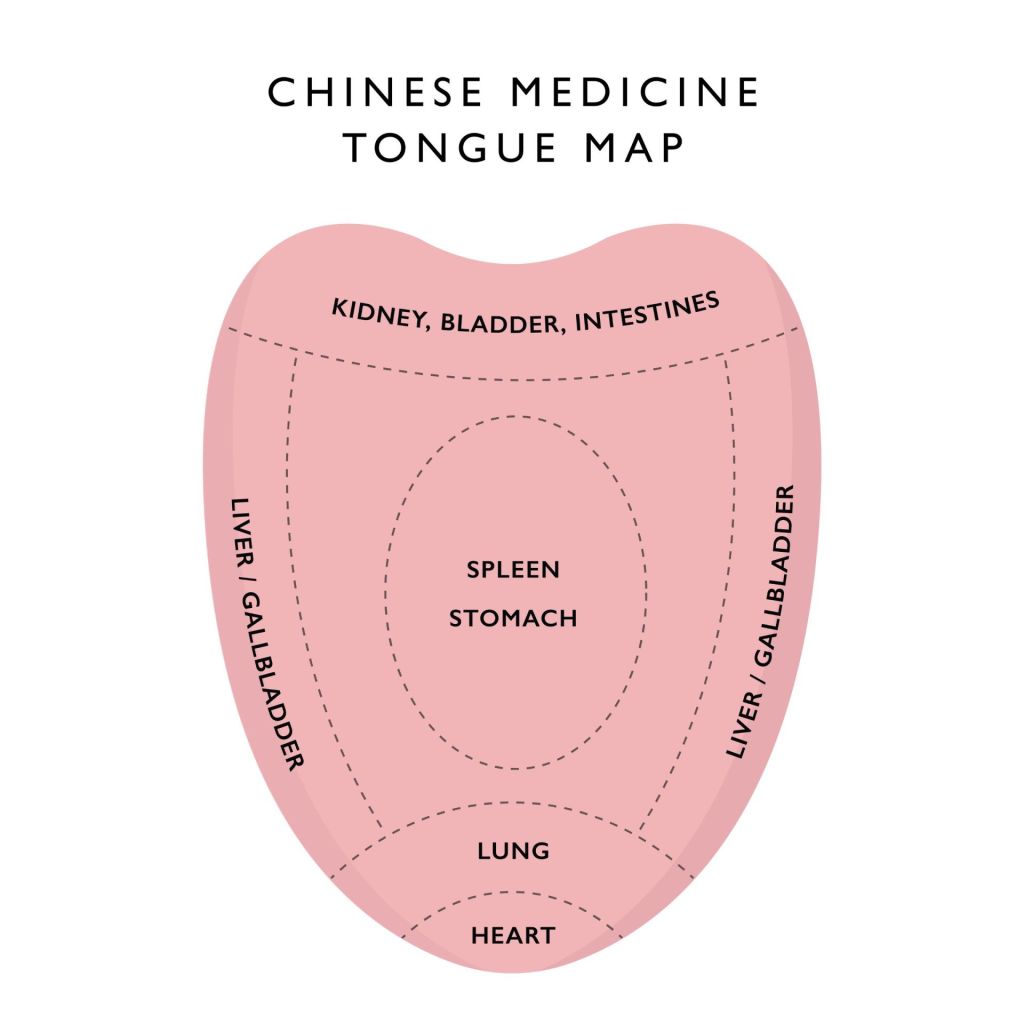 Diagnosis In Chinese Medicine Acumedic Clinic 7220