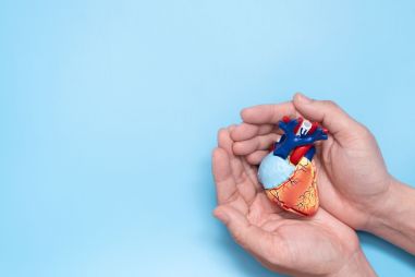 Acupuncture and Herbs: A Natural Solution to Cholesterol Management?